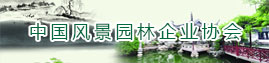 й羰԰ҵЭ